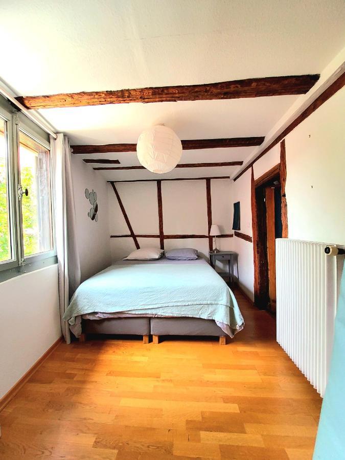 Gite Classe "Le Tilleul" Colmar Exterior foto